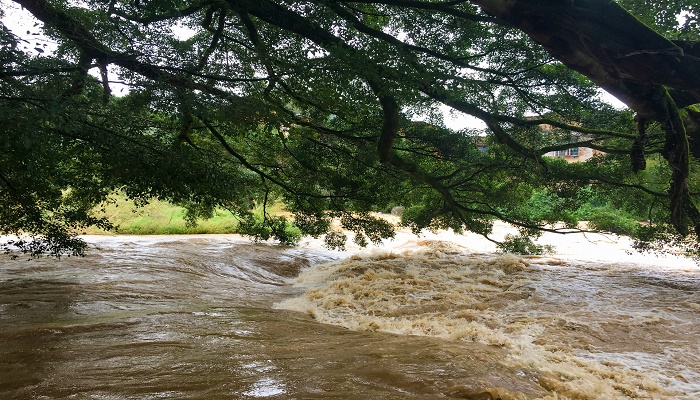 做梦梦见发大水来势汹汹