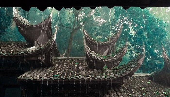 做梦梦见房子漏雨特别严重