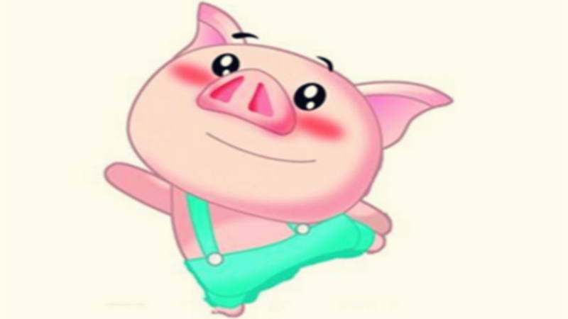 属猪女孩最吉利的名字，最佳答案