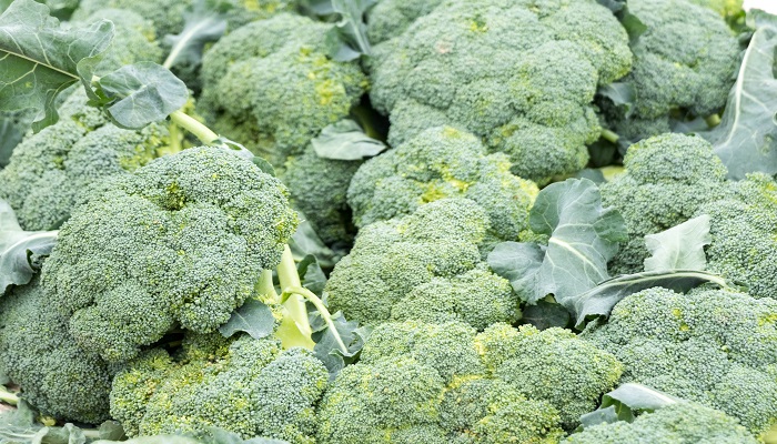 做梦梦见花菜是什么意思 做梦梦见花菜有什么预兆