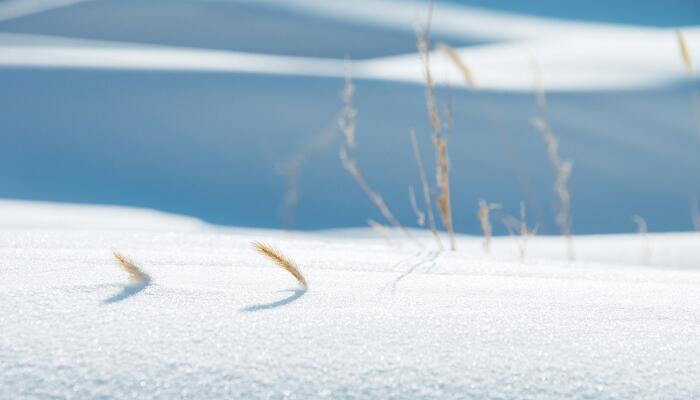 已婚女人做梦梦见雪地行走