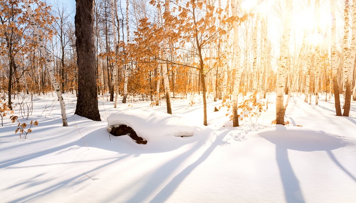 做梦梦见深雪中迷路是什么意思 做梦梦见深雪中迷路有什么预兆