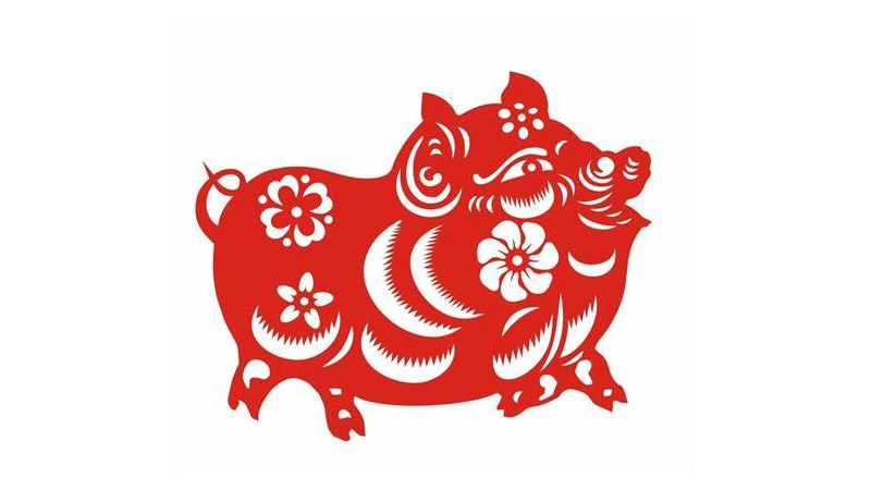属猪2020年运势，最多人赞同的观点