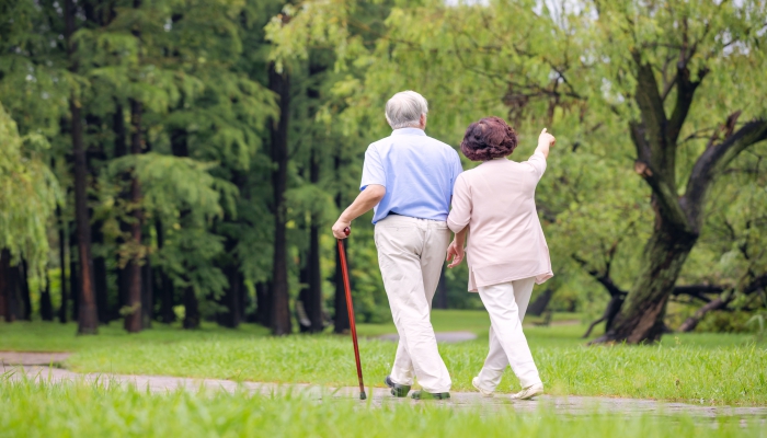 做梦梦见漫步是什么意思 做梦梦见漫步有什么预兆