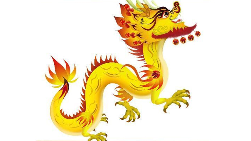 64年属什么生肖配对，最多人赞同的观点