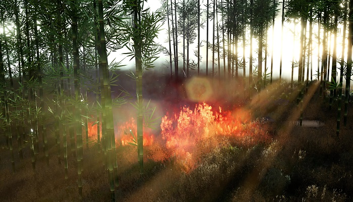 做梦梦见树着火了是什么征兆