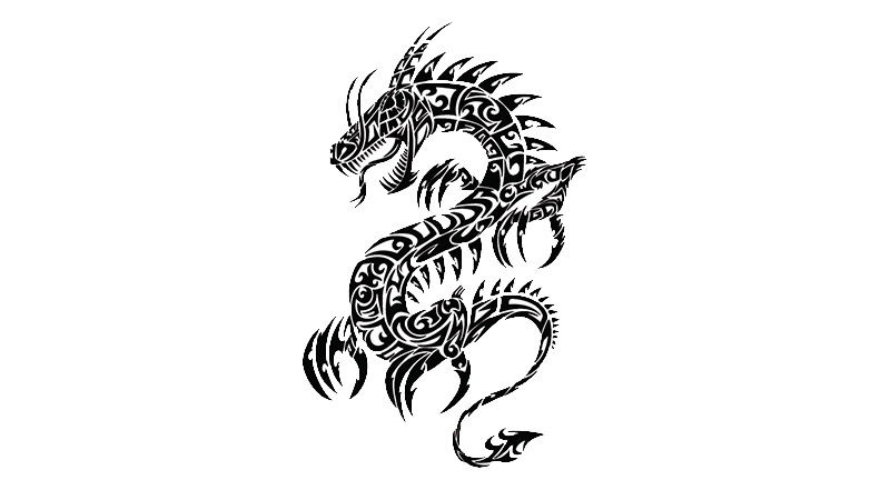 属龙人运势，最佳答案