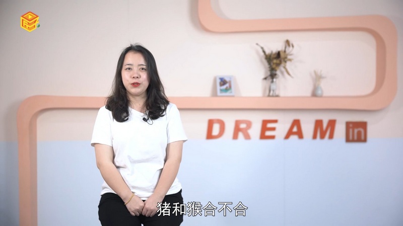 猪和猴合不合，标准答案