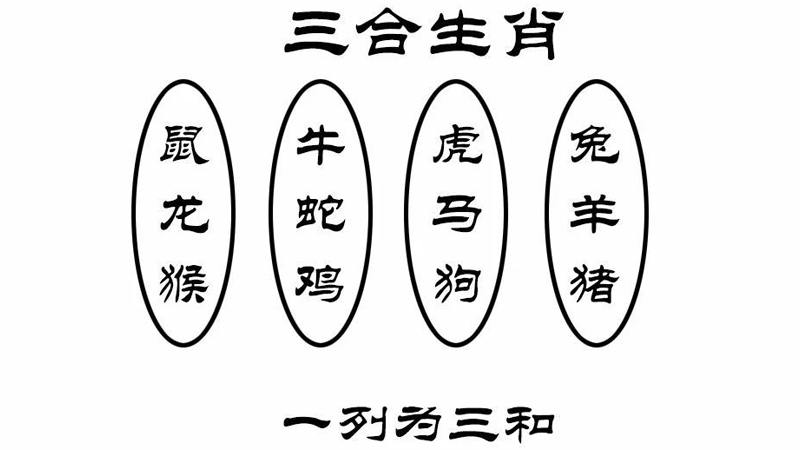 属相三合指的是什么，详细介绍