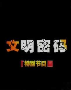 文明密码