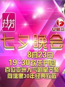 安徽2012七夕晚会
