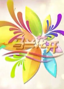 马兰花开