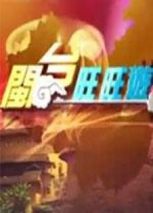 闽台旺旺游