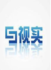 视实