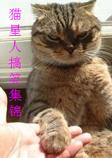 猫星人搞笑集锦