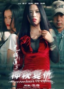 无贱道3神秘复仇