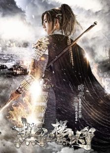热血杨家将