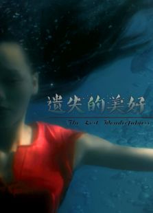 遗失的美好2016