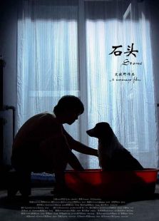 石头2012