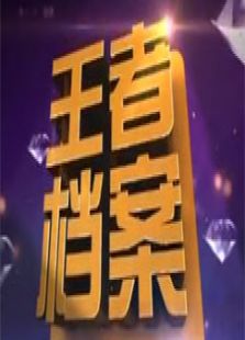 王者档案