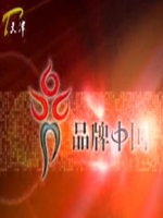 品牌中国