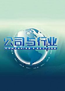 公司与行业