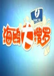 海鸥大搜罗