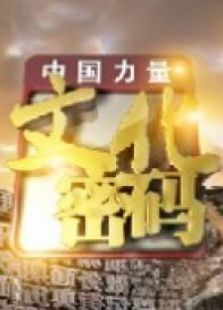 文化密码
