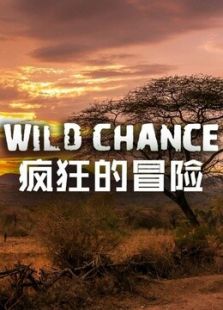 疯狂的冒险