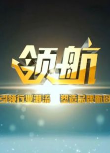 领航