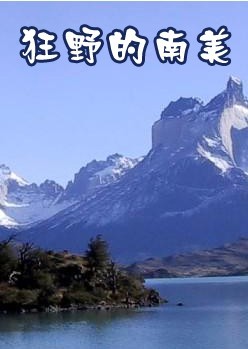 狂野的南美洲