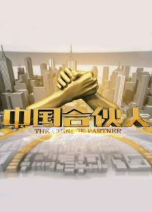 教育一套中国合伙人