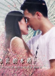 消失的爱情