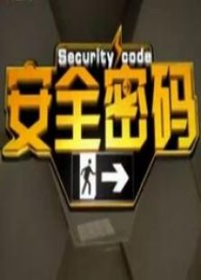 安全密码
