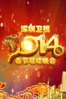 深圳春节特别节目2014