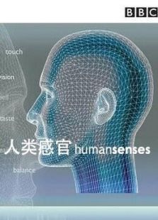 人类感官