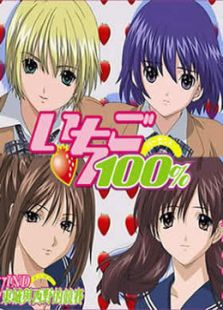 草莓100% OVA