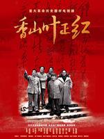 香山叶正红