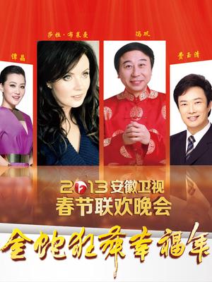 安徽2013春晚