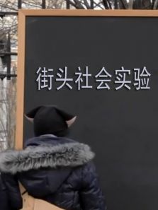 街头社会实验