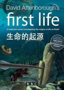 生命的起源