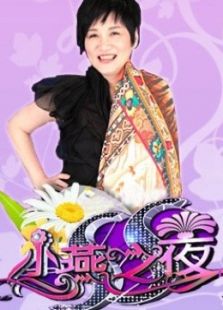 ss小燕之夜