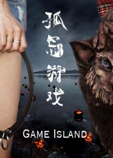 孤岛游戏