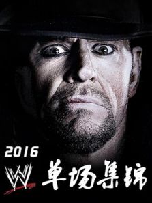 WWE单场集锦2016