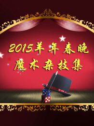 2015羊年春晚魔术杂技集