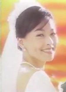 太阳花