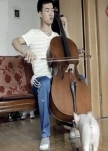 大提琴之恋