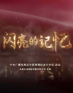 闪亮的记忆