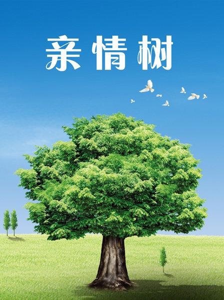 亲情树