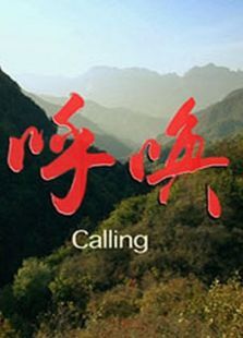 呼唤2013